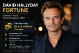 David Hallyday fortune : Richesse et patrimoine estimés